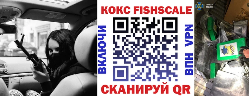 закладки  Жердевка  COCAIN FishScale 