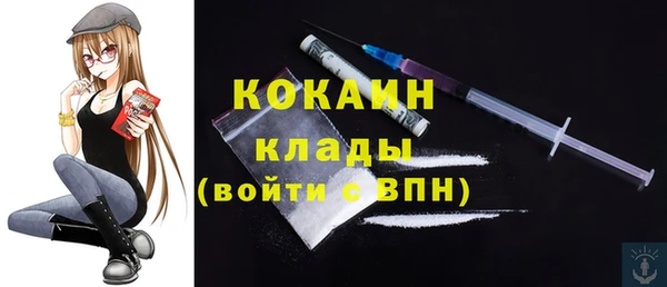 дживик Дмитриев
